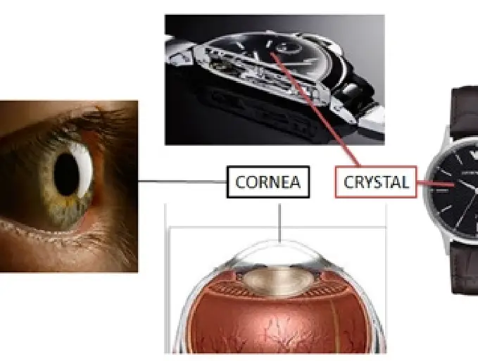 Cornea Clinic in Kerala